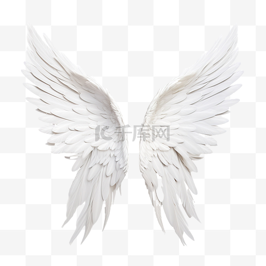 天使的翅膀 羽毛 白色图片