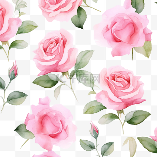 粉色英国玫瑰水彩花卉图案图片