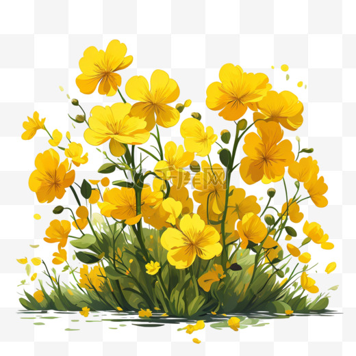 田野上的黄色油菜花设计图片