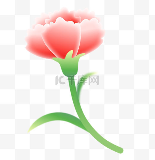母亲节康乃馨花朵设计图图片