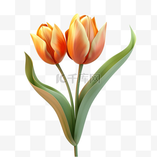 花朵郁金香3d免抠元素图片