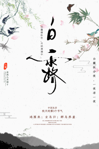 二十四节气白露小清新中国风水墨画宣传动图海报