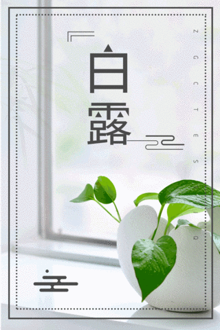 植物动态图海报模板_简约实物植物白露节气宣传海报
