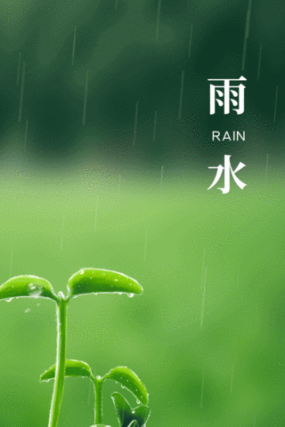 春季h5海报模板_春天下雨雨水绿叶植物绿色竖版视频海报动图gif