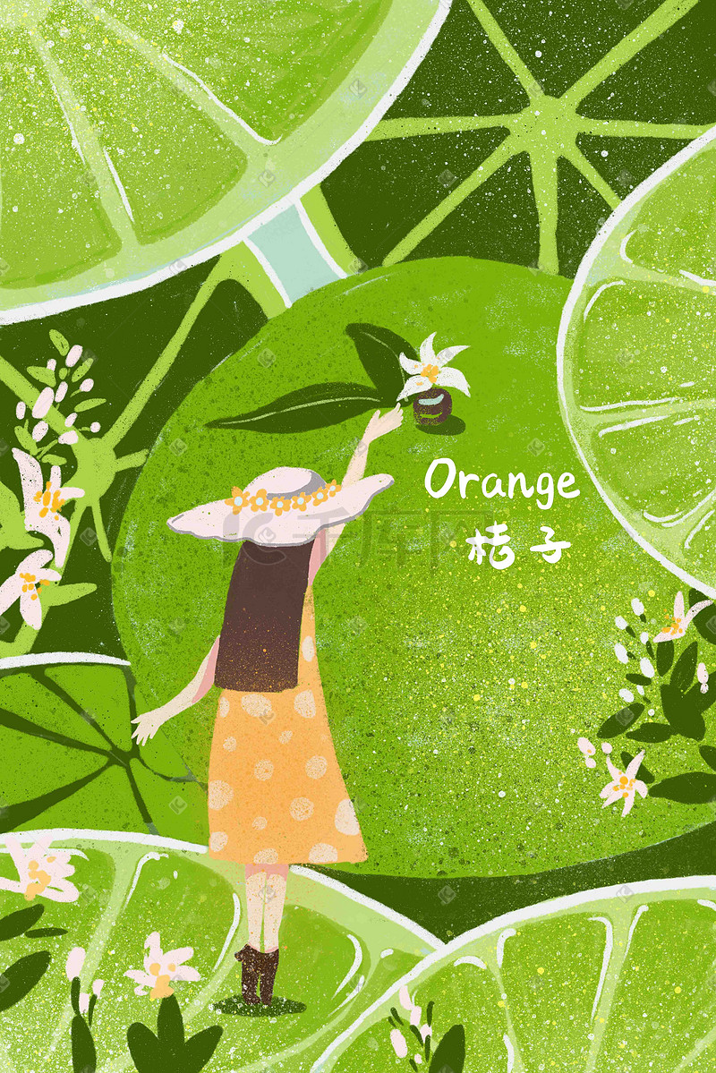 夏季小清新新青桔元素写实水果手绘风格插画图片