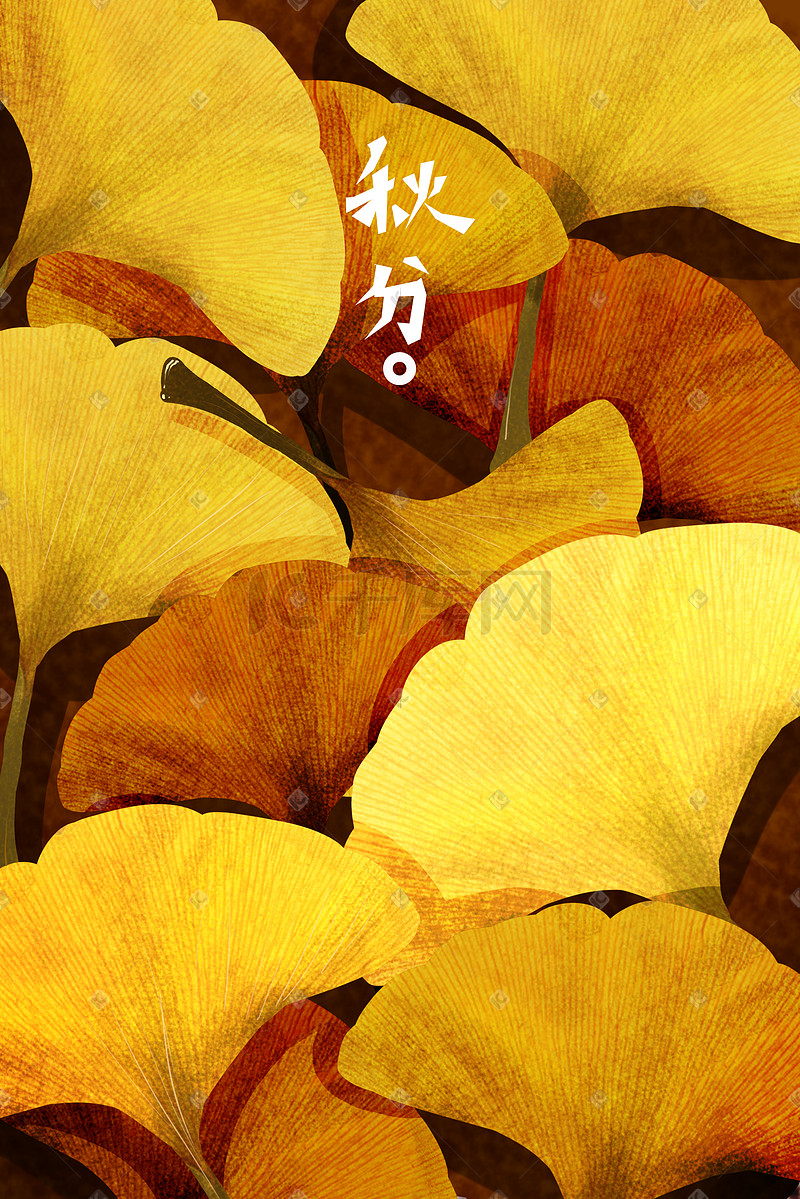 秋分，银杏，艺术字体图片