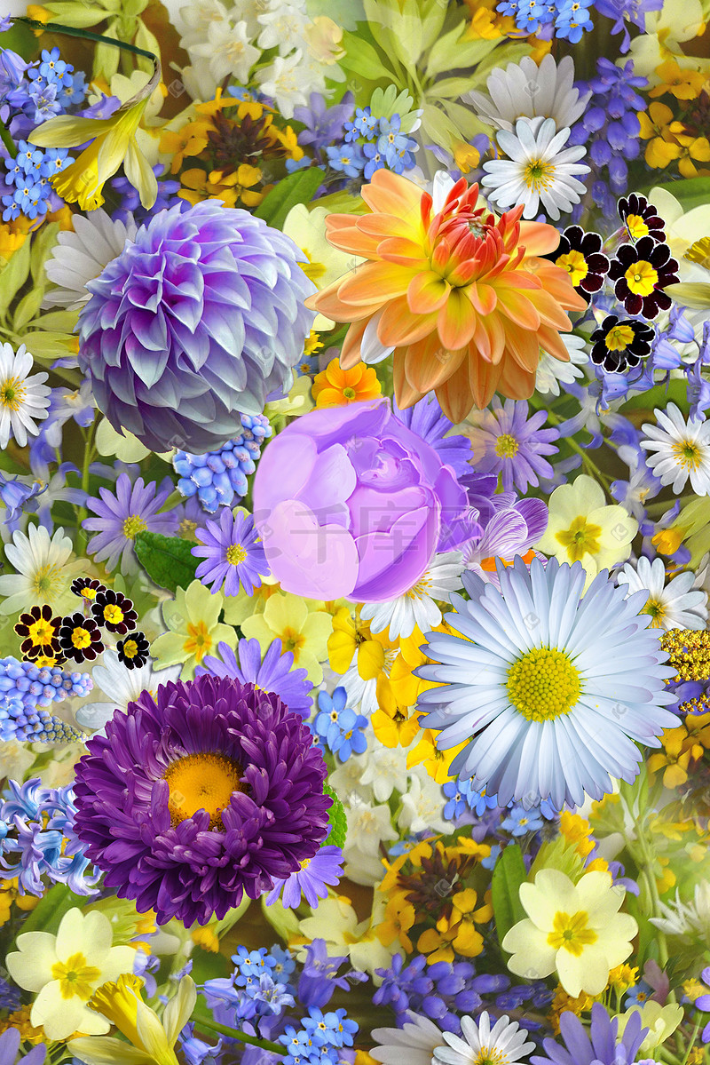 写实花卉背景素材图图片