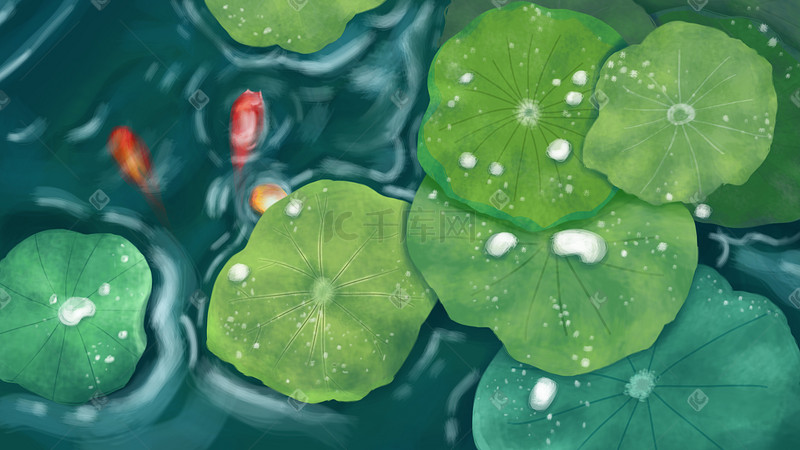处暑夏季夏天池塘荷塘荷叶金鱼手绘插画图片