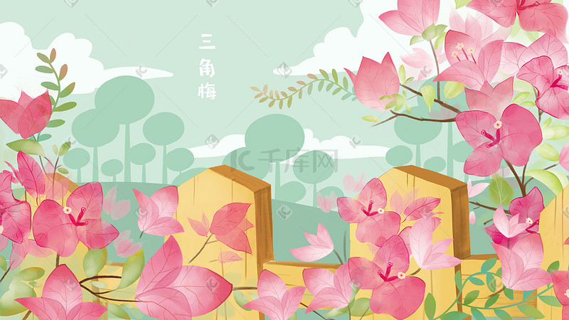 三角梅花卉手绘插画图片
