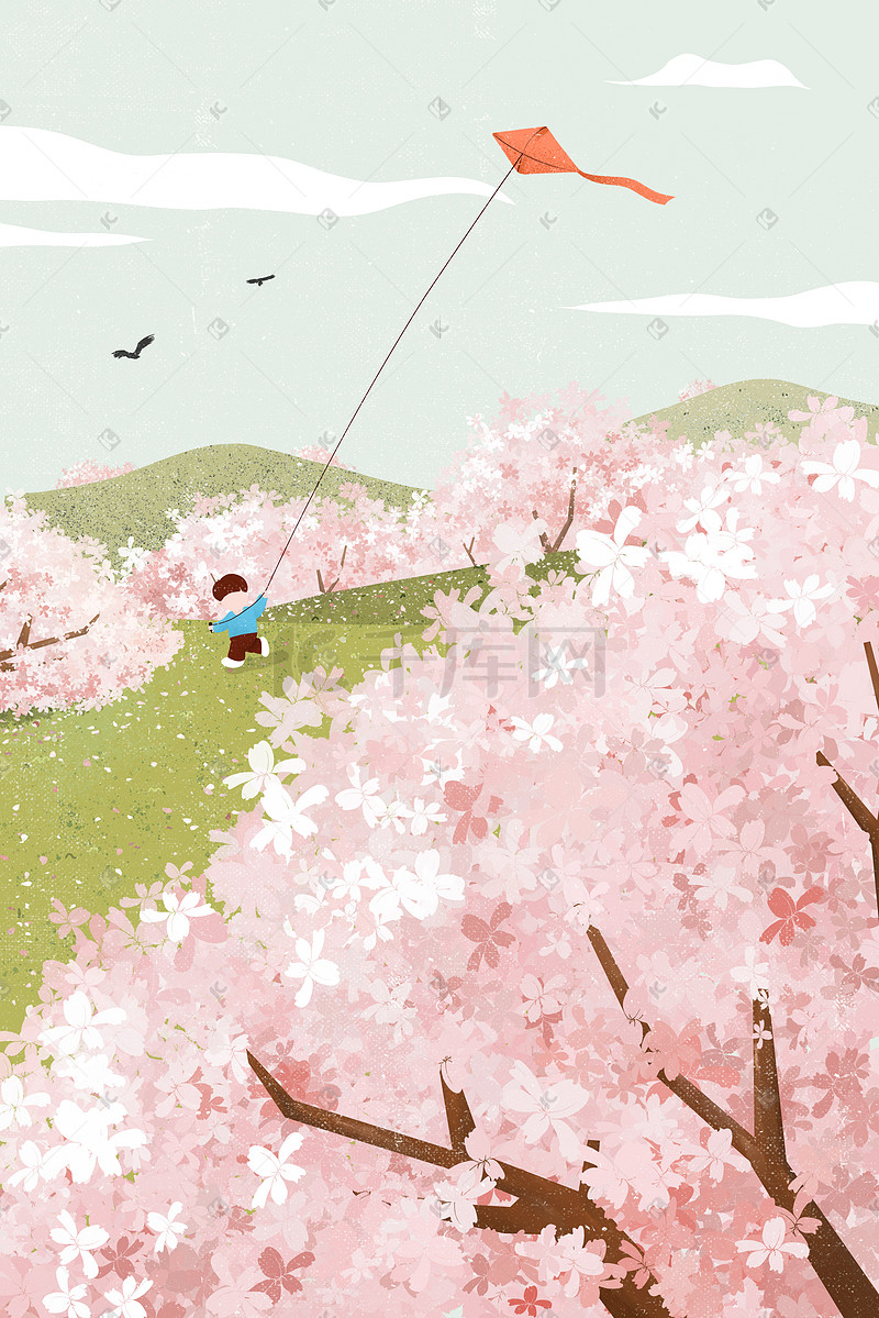 春天樱花飞舞小男孩在山坡放风筝图片
