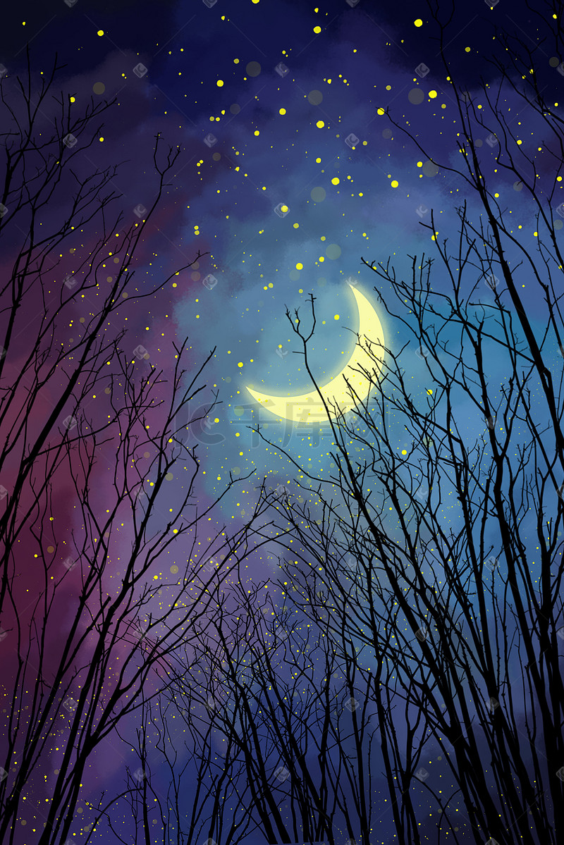 夜晚树林里的月亮与星空图片