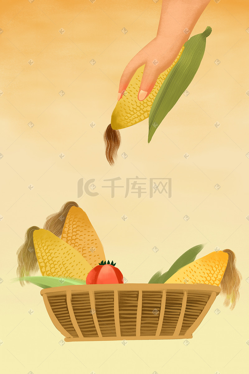 黄色系秋天秋季丰收玉米背景图片