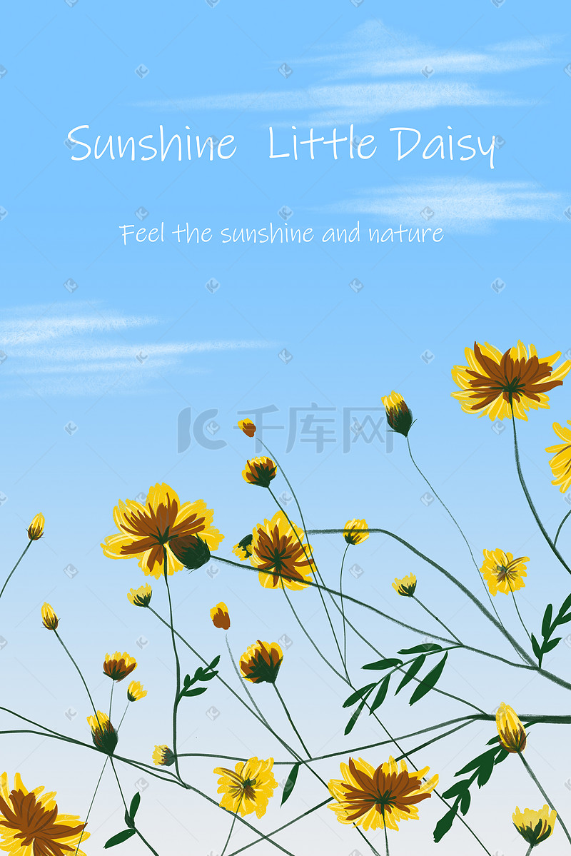 夏季晴朗天空和小雏菊图片