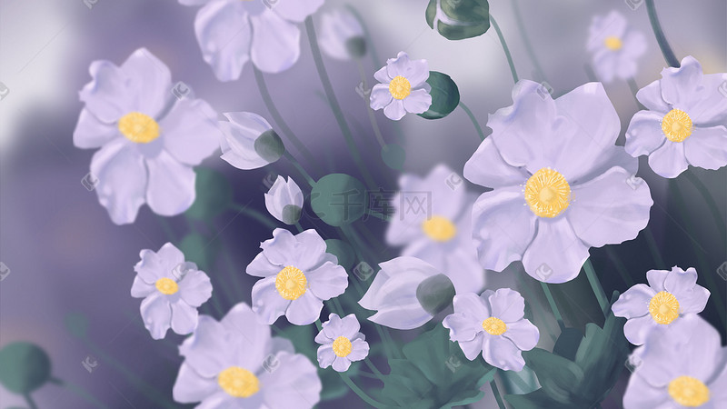 繁花背景一丛淡紫色的格桑花图片