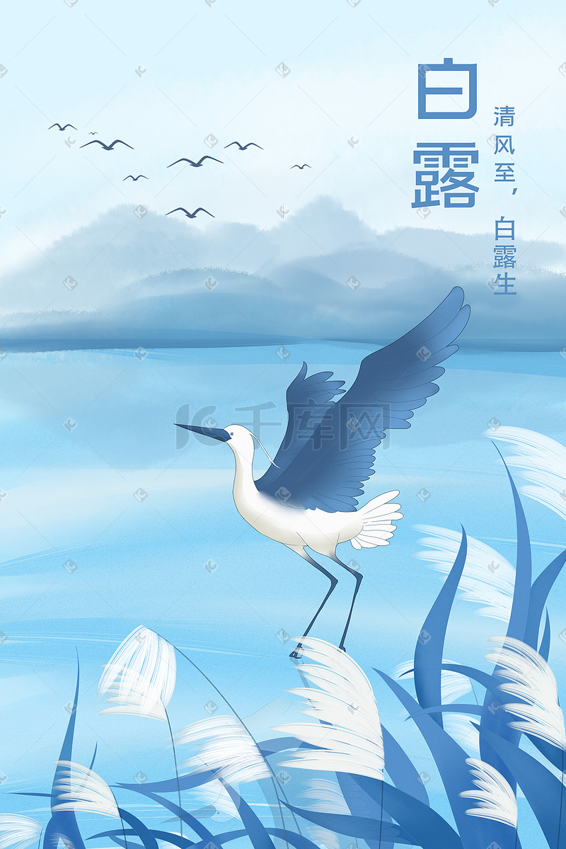 卡通水彩白露手绘插画图片