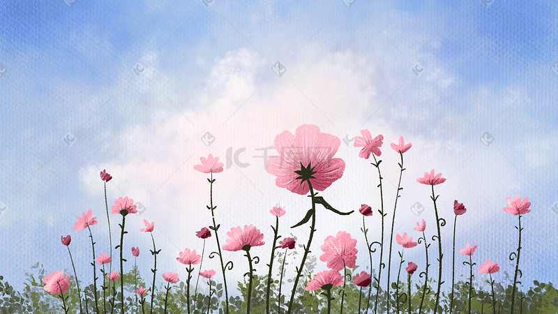 天空下粉色的花朵图片
