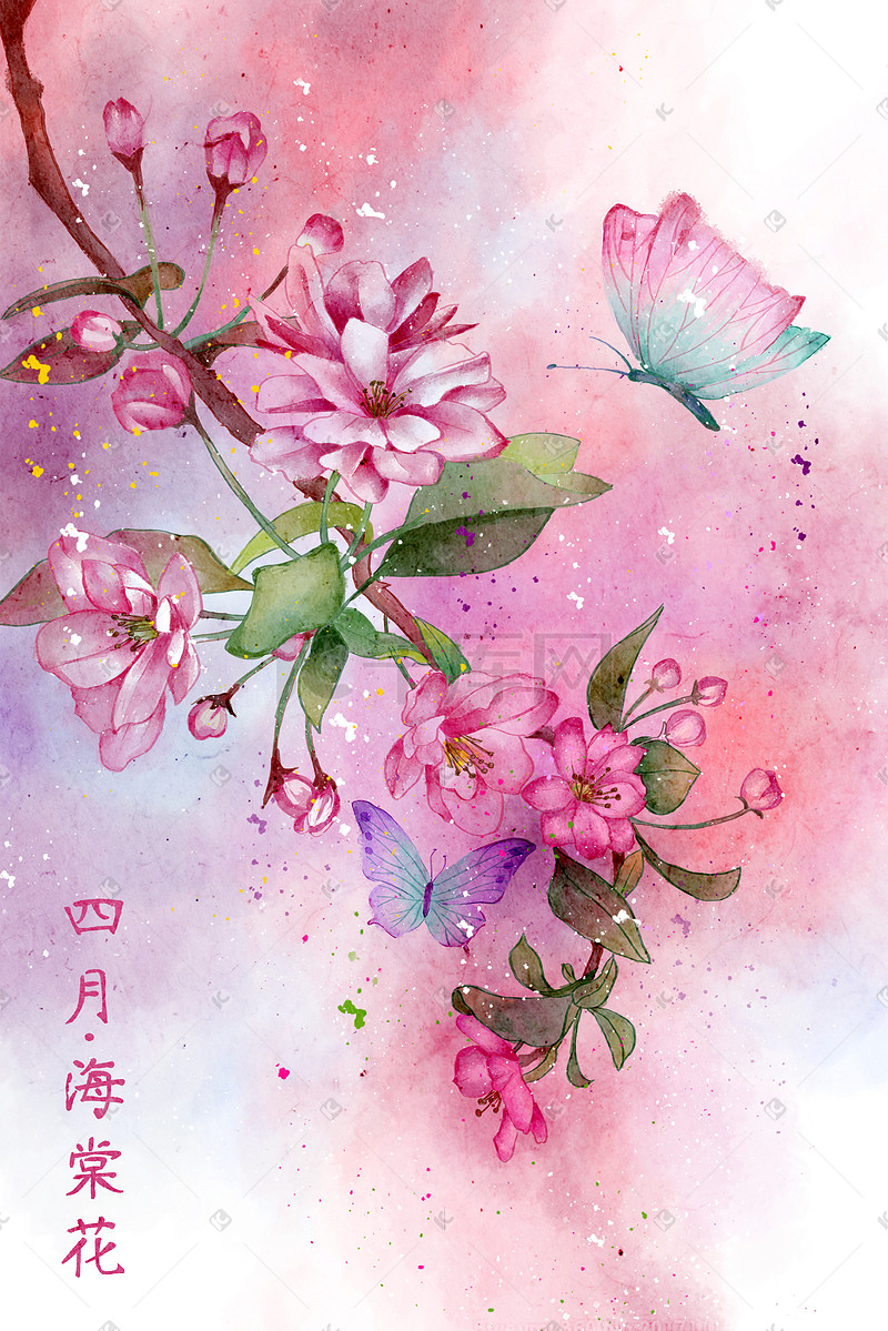 水彩花鸟画十二月花信之四月海棠花图片