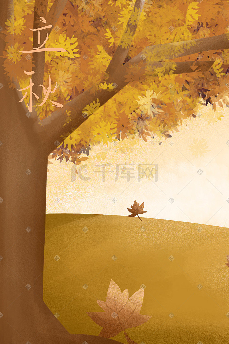 立秋枫叶飘落的秋天图片
