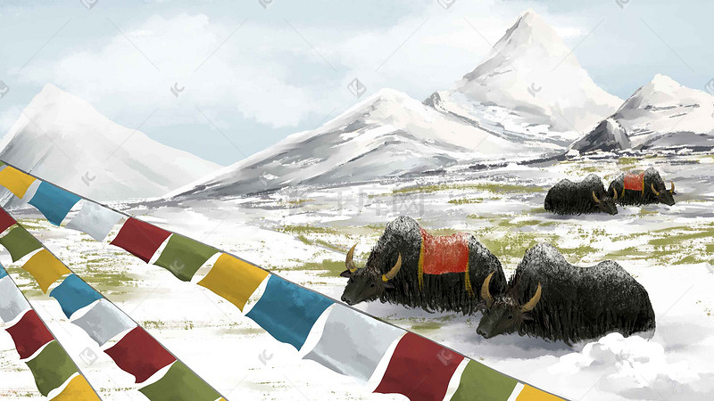 冬天西藏天生下雪和牦牛图片