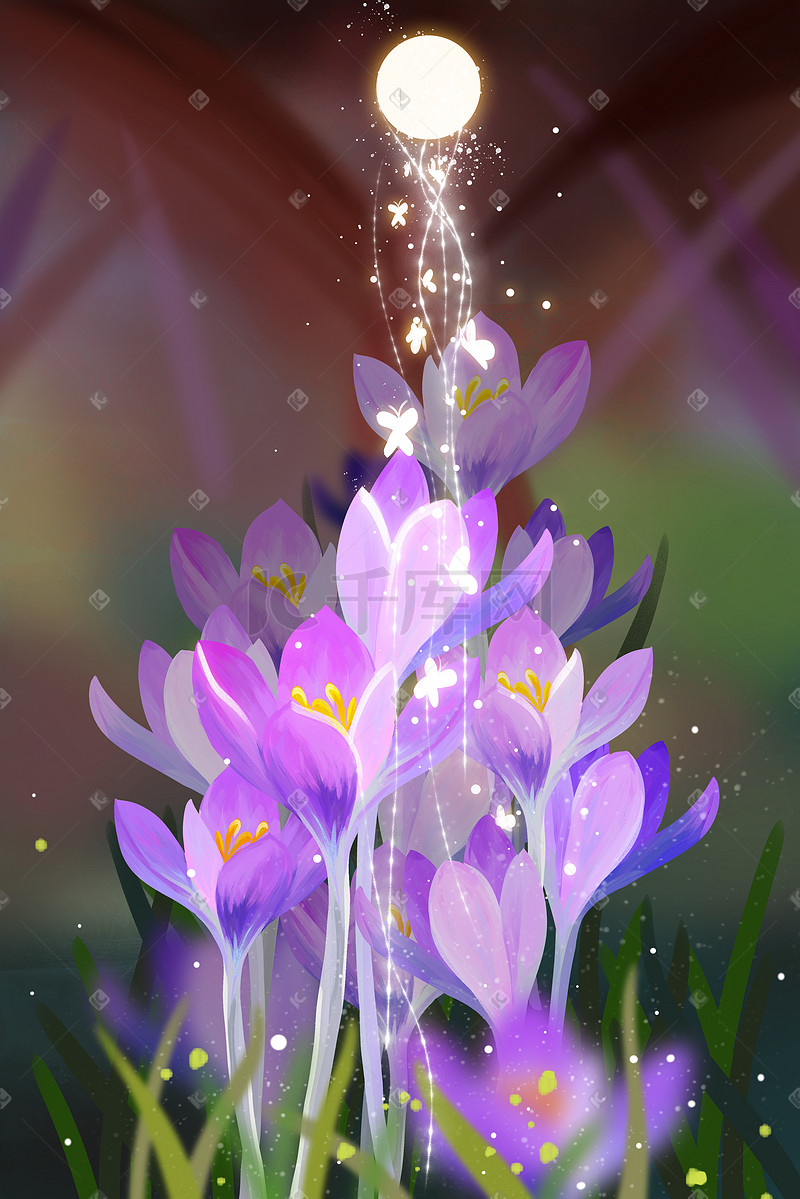 紫水仙手绘插画背景图片