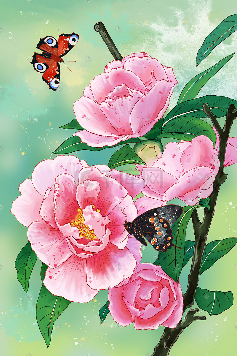 水彩手绘花卉之茶花图片