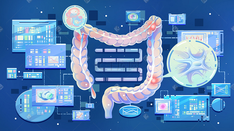 大肠人体器官蓝色卡通扁平插画科普图片
