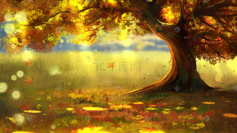 秋天秋季金秋树木风景图片
