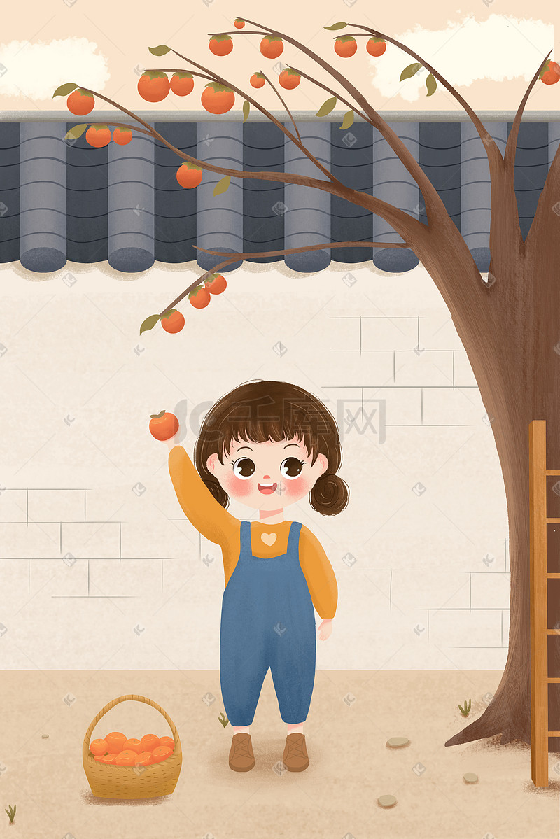 霜降24节气小女孩庭院摘柿子插画图片