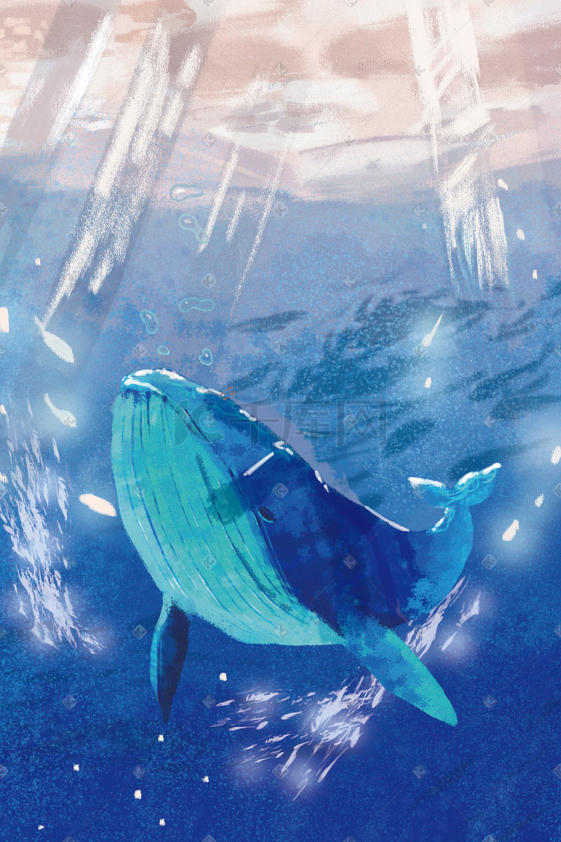 海底小清新清凉晚安鲸鱼海洋世界手绘风格插图片