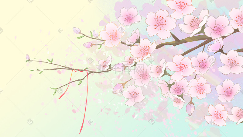 粉色春天唯美清新樱花插画花朵花图片
