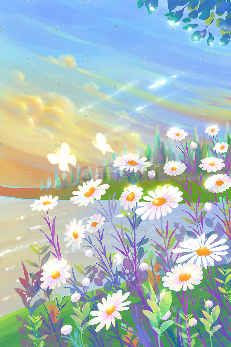 花海花朵花唯美治愈阳光下的小花图片