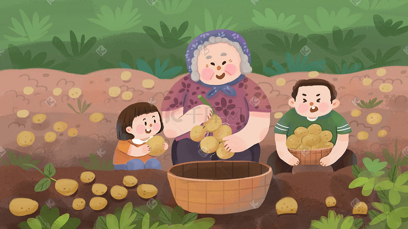 五一劳动节劳动之帮奶奶收土豆场景图片