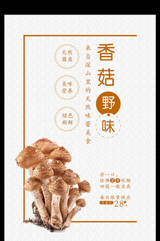 304食用钢海报模板_清新简雅蘑菇宣传海报