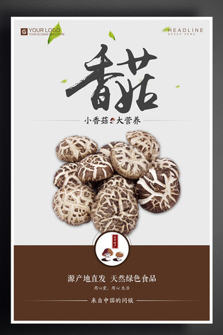 创意中国风香菇美食宣传促销海报