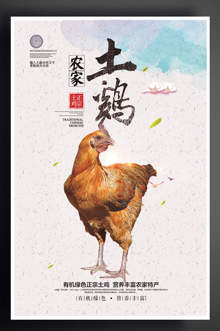 鳄鱼饲养员海报模板_创意中国风农家土鸡宣传促销海报