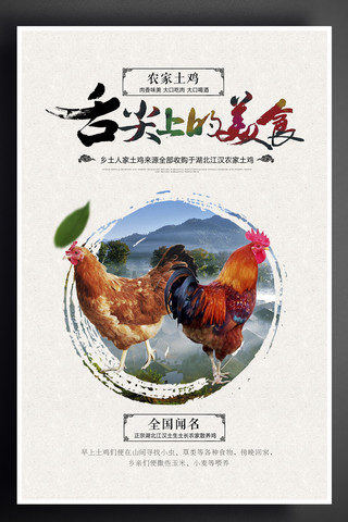 鳄鱼饲养员海报模板_创意中国风农家土鸡宣传促销海报