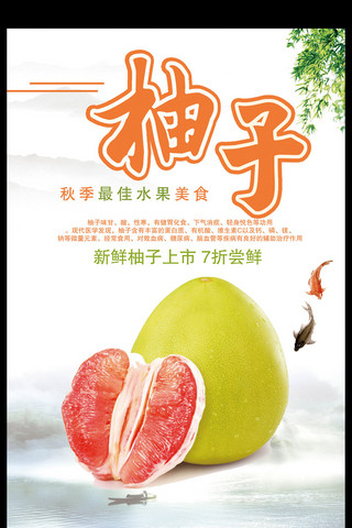 红心蜜柚海报模板_中国风水果超市柚子海报