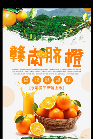 赣南脐橙水果海报设计