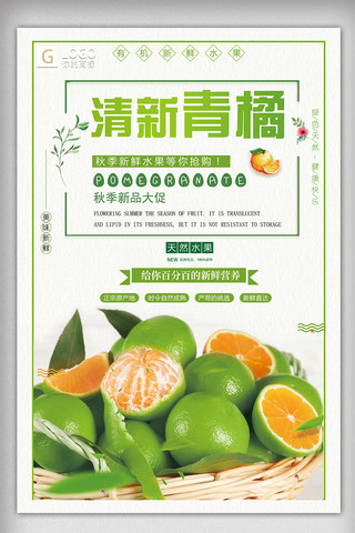 天然有机新鲜水果清爽橘子创意海报设计源文件