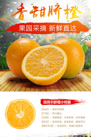 淘宝小清新水果橙子详情页模板