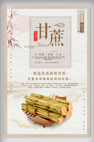 中国美食海报设计海报模板_中国古典风养生甘蔗美食海报设计