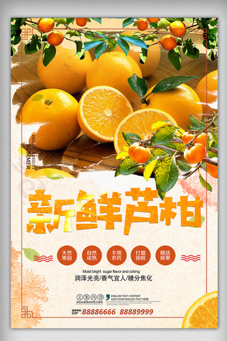 新鲜包装海报模板_新鲜水果芦柑海报设计