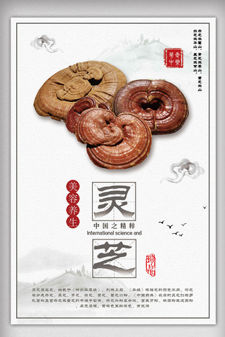 鹿角灵芝海报模板_白色背景简约中国风养生灵芝海报