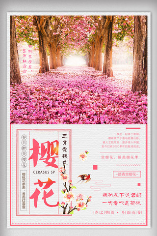 旅游樱花宣传海报海报模板_2018粉色创意春季旅游赏樱花宣传海报