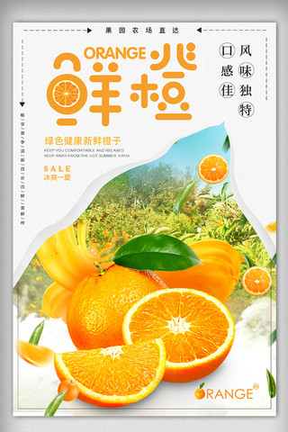 鲜橙海报海报模板_美味鲜橙果园脐橙食品水果海报
