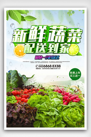 蔬菜快递海报模板_创意大气净菜配送外卖宣传海报