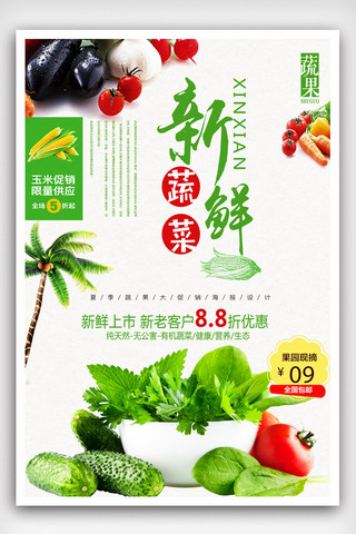 新鲜蔬菜海报设计的副本.psd