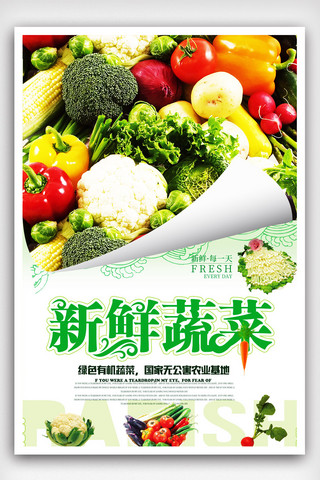 新鲜蔬果海报海报模板_新鲜蔬果果真实惠果蔬促销海报.psd