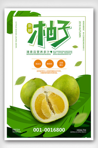柚子茶海报海报模板_新鲜水果柚子宣传海报