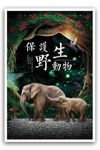 关爱动物公益海报海报模板_保护野生动物公益海报